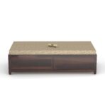 Sheesham Wood Single Diwan with Cushion | Solid Wood Box Diwan Bed (Honey & Walnut Finish) - Image 10
